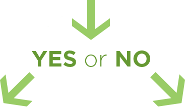 YES or NO YES or NO